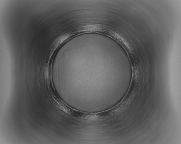 X0000116490882200912161316