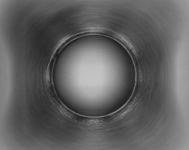 X0000116490883200912161316