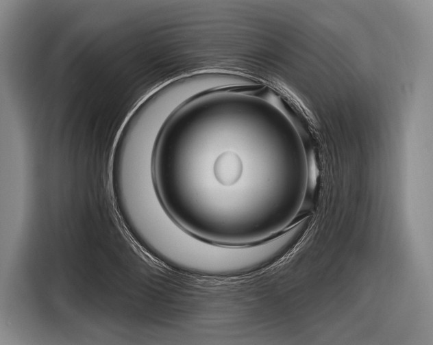 X0000116490884200912161316