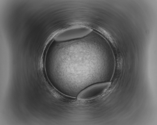 X0000116490885200912161316