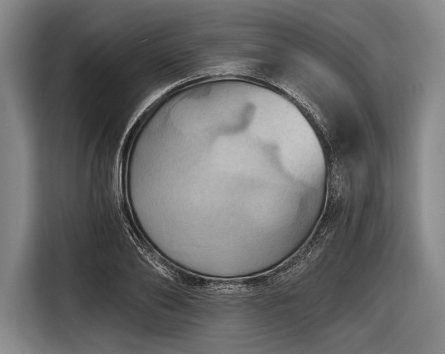 X0000116490886200912161316