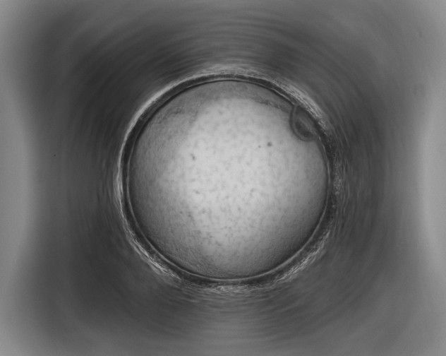 X0000116490888200912161316