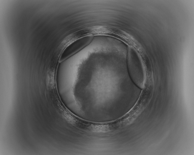 X0000116490889200912161316