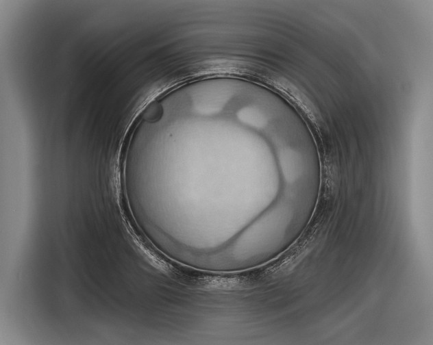 X0000116490890200912161316