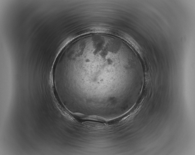 X0000116490891200912161316