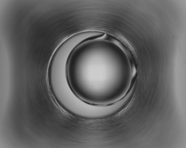 X0000116490892200912161316