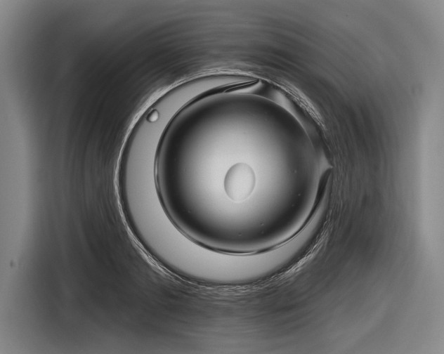 X0000116490893200912161316