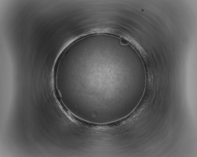 X0000116490894200912161316