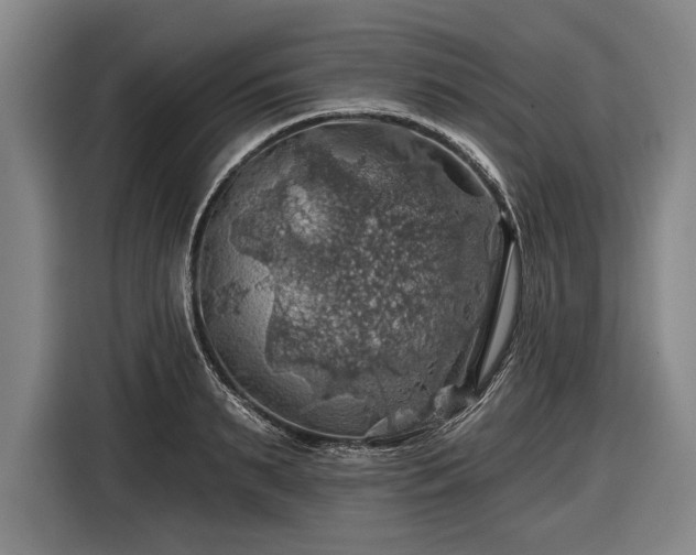 X0000116490895200912161316