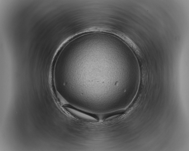 X0000116490896200912161316