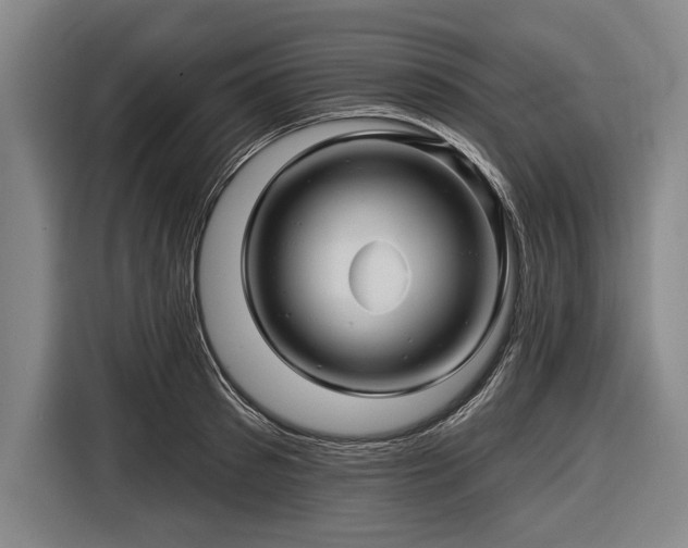 X0000116490897200912161316