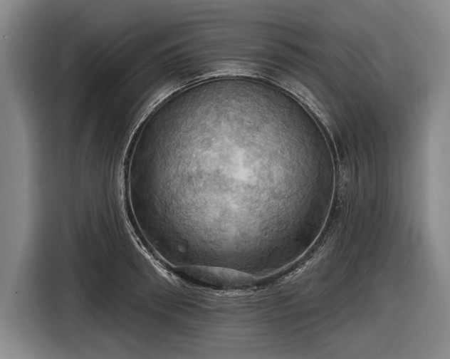 X0000116490898200912161316