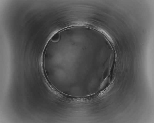 X0000116490899200912161316