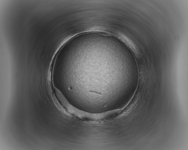 X0000116490900200912161316