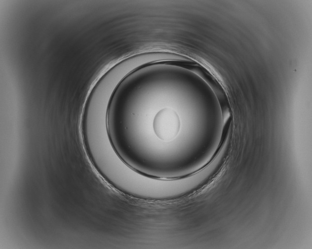 X0000116490901200912161316