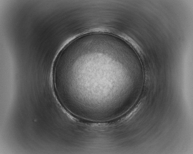 X0000116490902200912161316