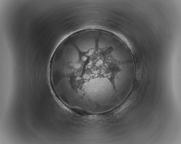 X0000116490903200912161316