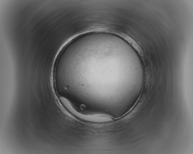 X0000116490904200912161316