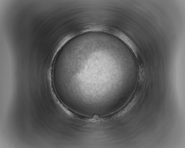 X0000116490906200912161316