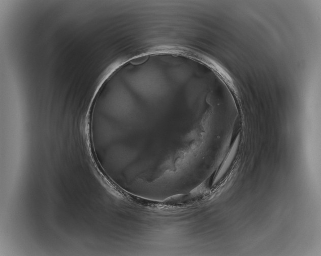 X0000116490907200912161316