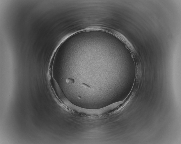 X0000116490908200912161316