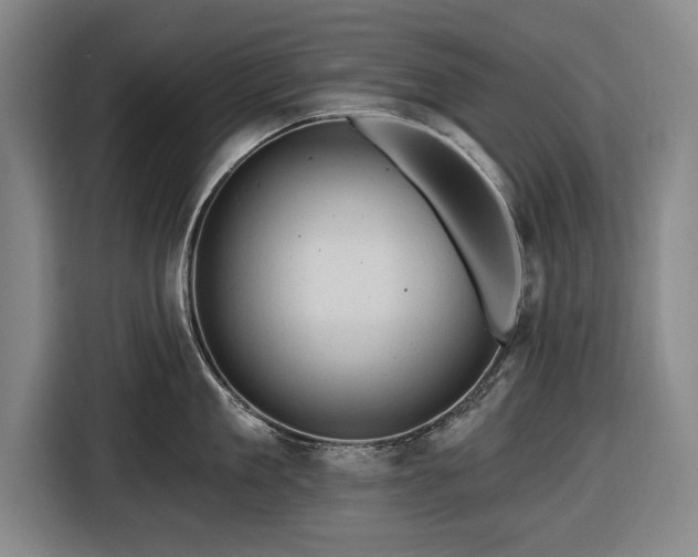 X0000116490909200912161316