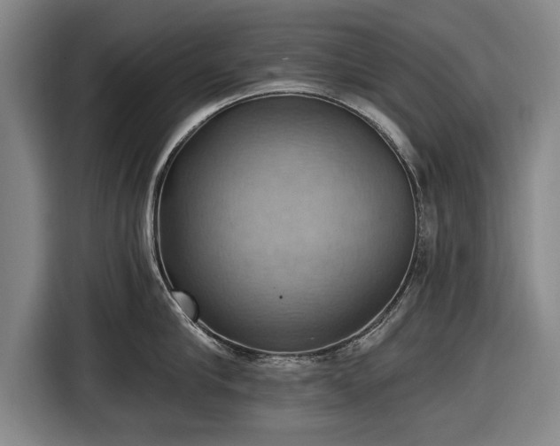 X0000116490910200912161316