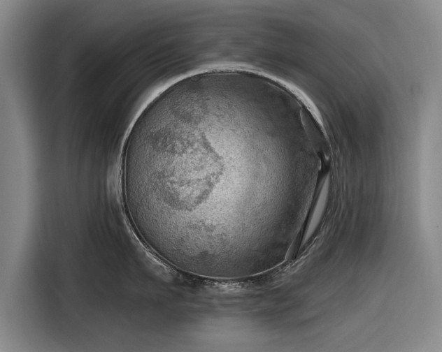 X0000116490911200912161316