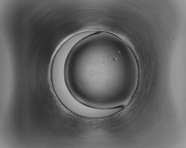 X0000116490912200912161316