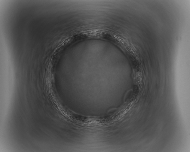 X0000116490913200912161315