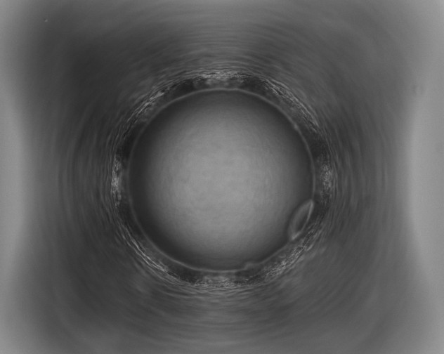 X0000116490914200912161315