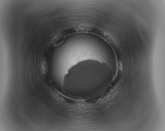 X0000116490915200912161315