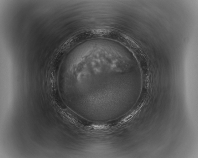 X0000116490917200912161315