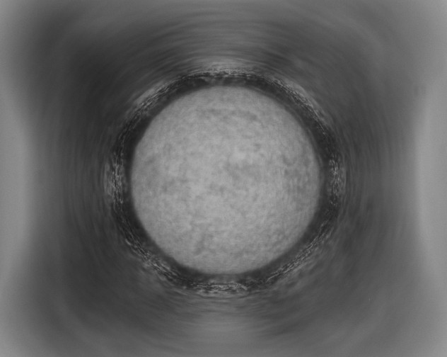 X0000116490918200912161315