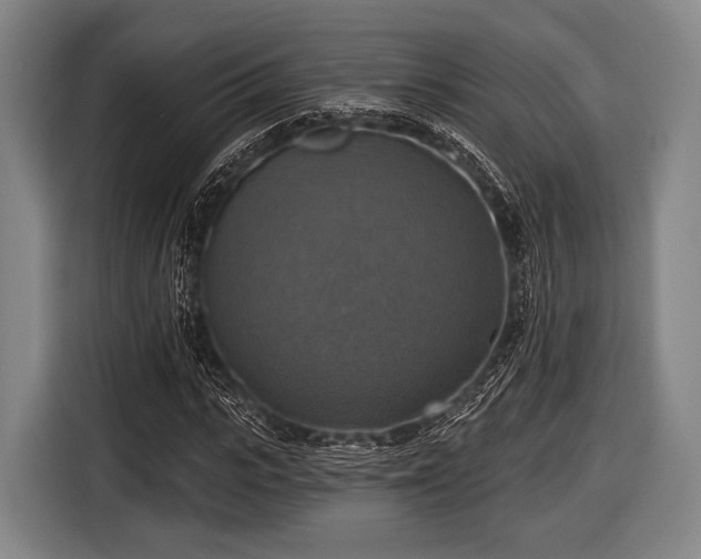 X0000116490919200912161315