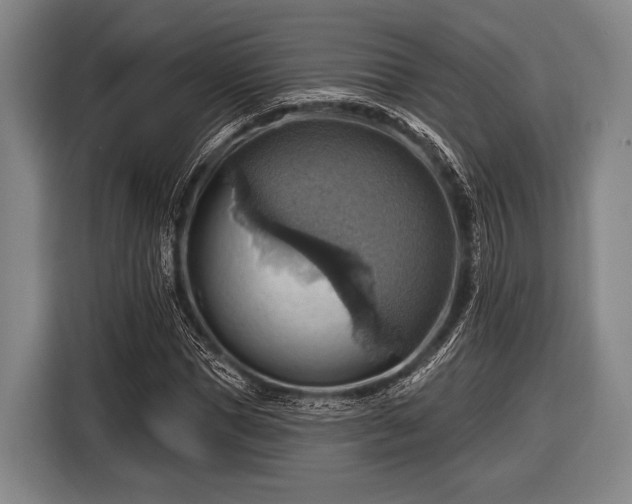 X0000116490921200912161315