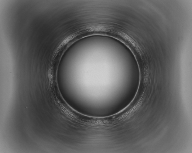 X0000116490922200912161315