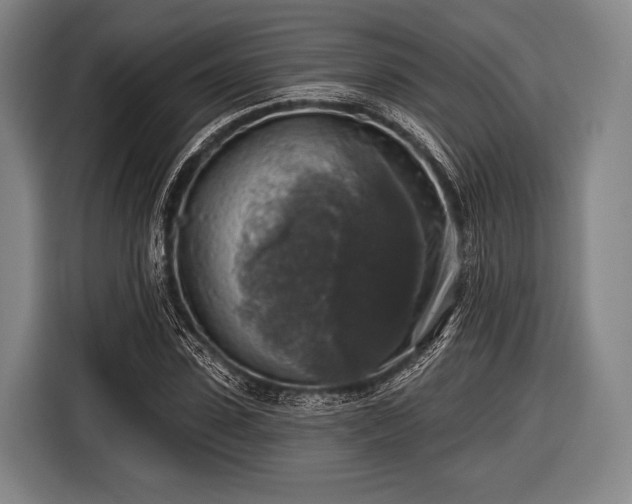 X0000116490923200912161315