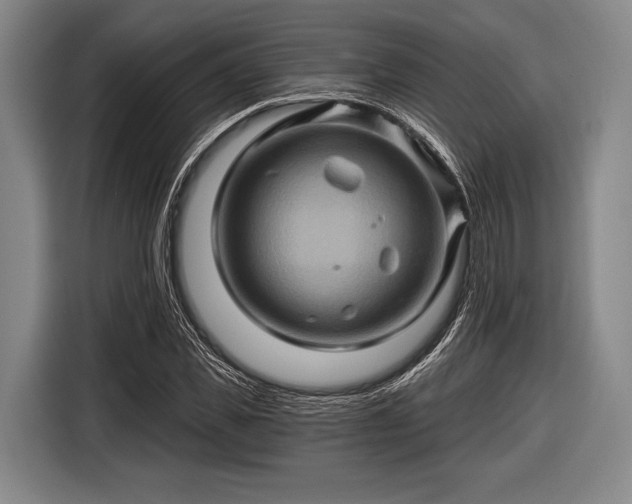 X0000116490925200912161315