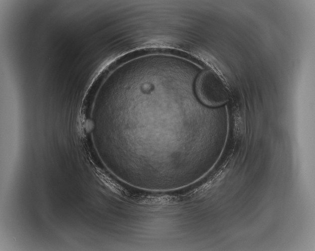 X0000116490926200912161315