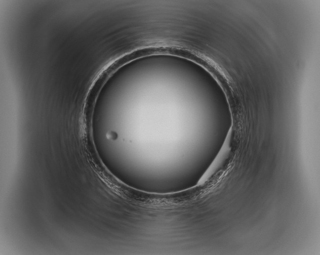 X0000116490927200912161315