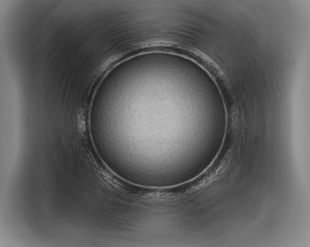 X0000116490929200912161316