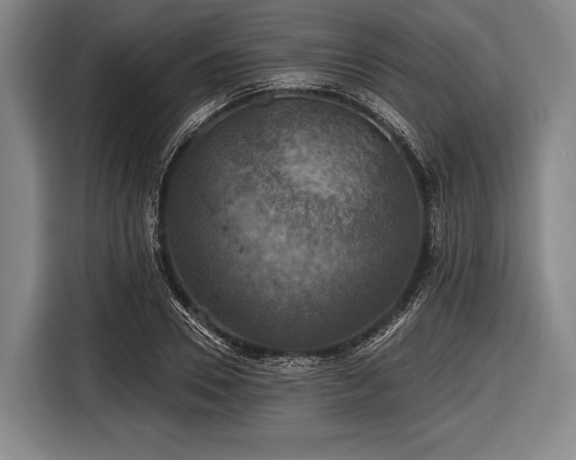 X0000116490930200912161316