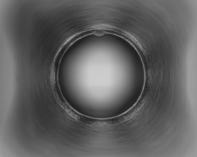 X0000116490931200912161316