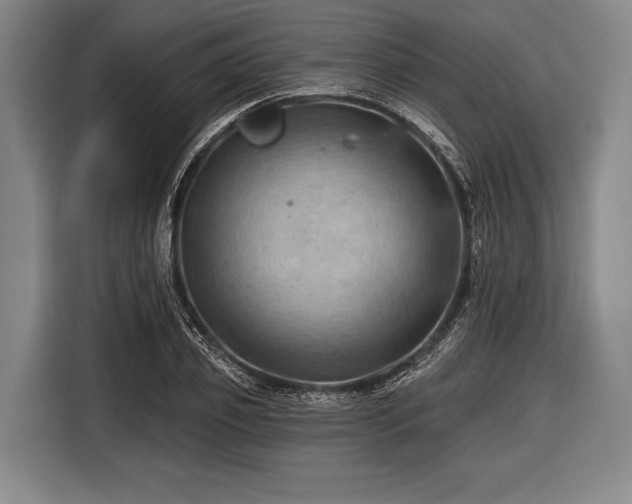 X0000116490933200912161316