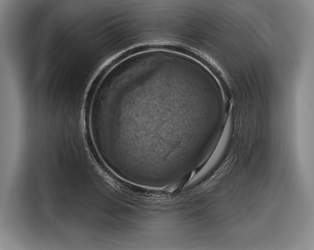 X0000116490935200912161316