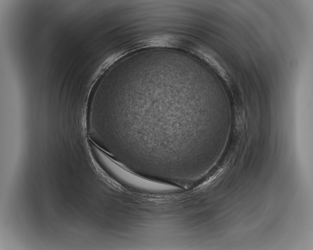 X0000116490938200912161316