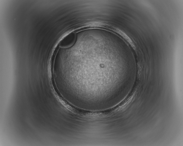 X0000116490939200912161316