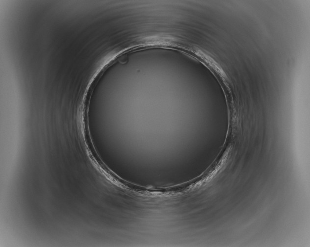 X0000116490941200912161316