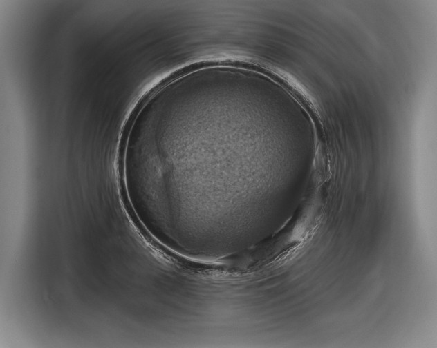 X0000116490943200912161316